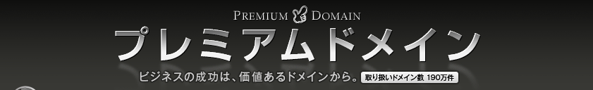 �v���~�A���h���C��-�r�W�l�X�̐����́A���l����h���C������B