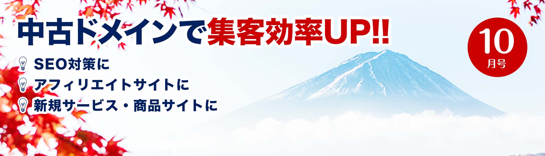 中古ドメインで集客効率アップ！/SEO対策に/アフィリエイトサイトに/新規サービス・商品サイトに