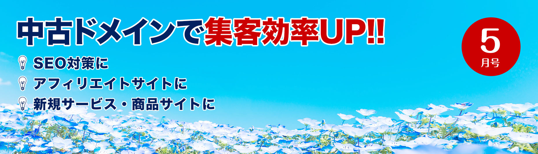 中古ドメインで集客効率アップ！/SEO対策に/アフィリエイトサイトに/新規サービス・商品サイトに