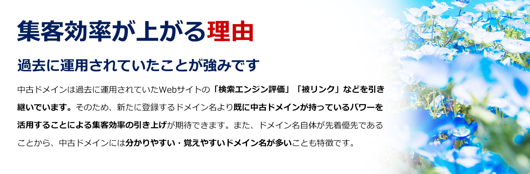 中古ドメインで集客効率アップ！/SEO対策に/アフィリエイトサイトに/新規サービス・商品サイトに