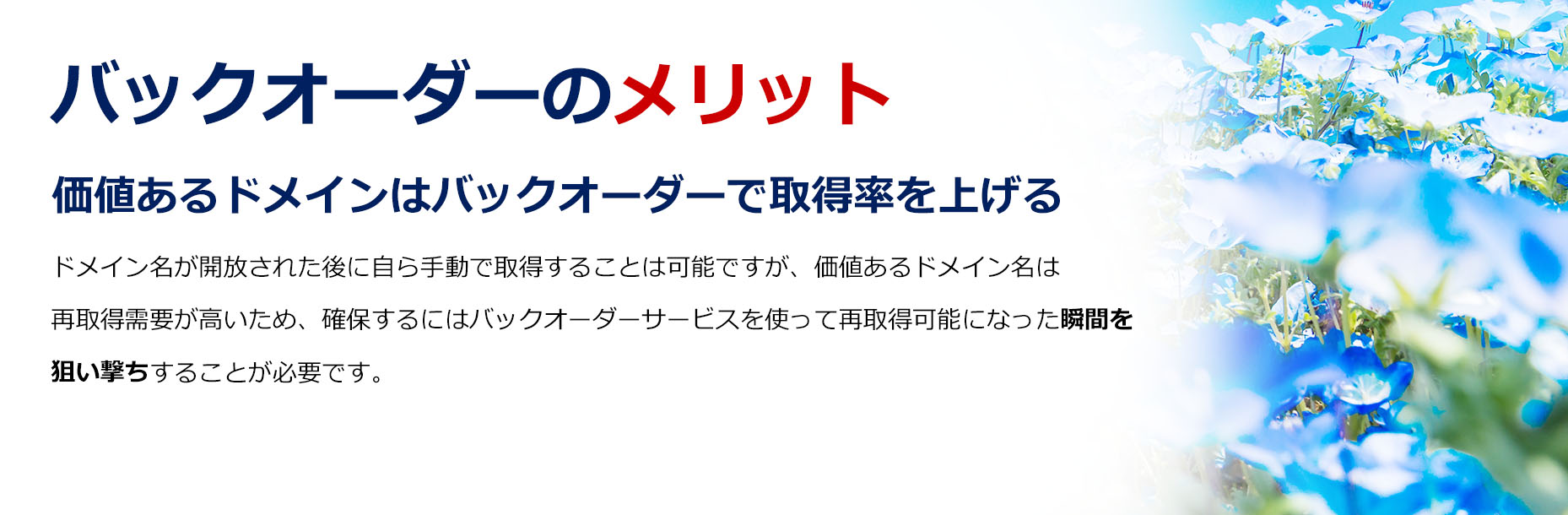 中古ドメインで集客効率アップ！/SEO対策に/アフィリエイトサイトに/新規サービス・商品サイトに