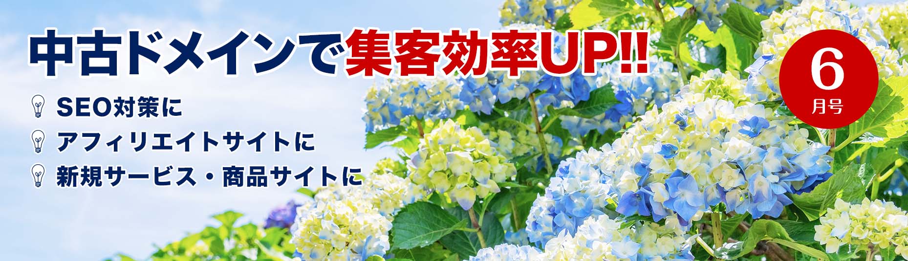 中古ドメインで集客効率アップ！/SEO対策に/アフィリエイトサイトに/新規サービス・商品サイトに
