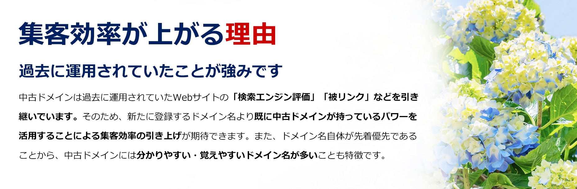 中古ドメインで集客効率アップ！/SEO対策に/アフィリエイトサイトに/新規サービス・商品サイトに