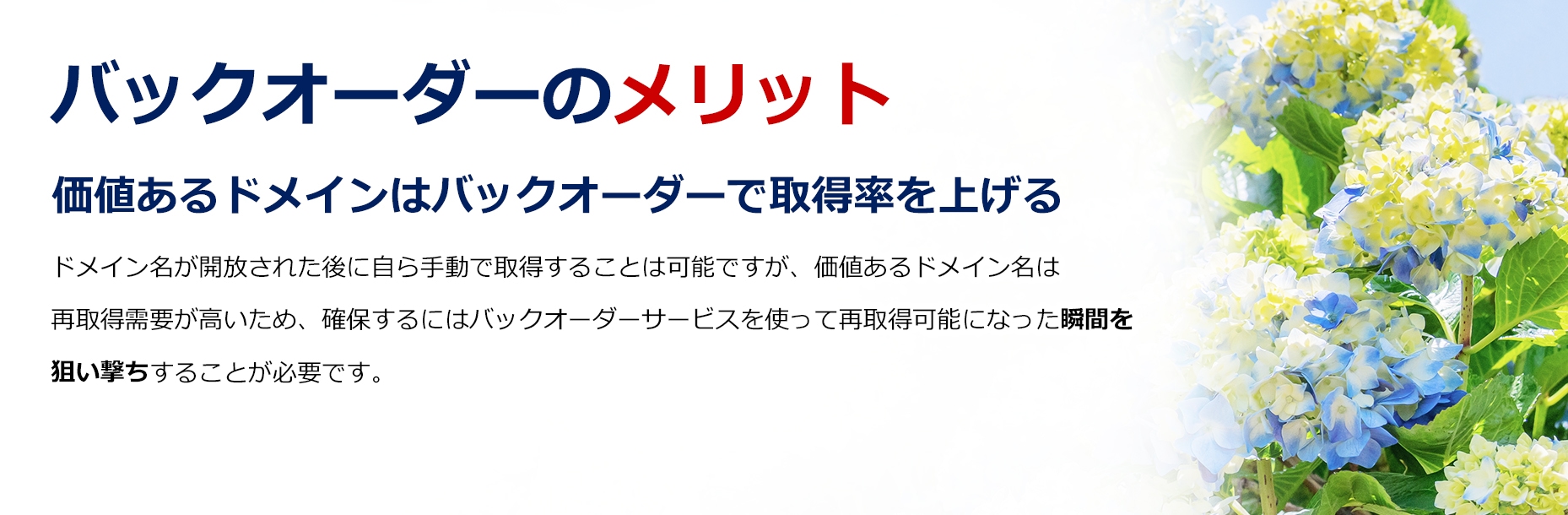中古ドメインで集客効率アップ！/SEO対策に/アフィリエイトサイトに/新規サービス・商品サイトに