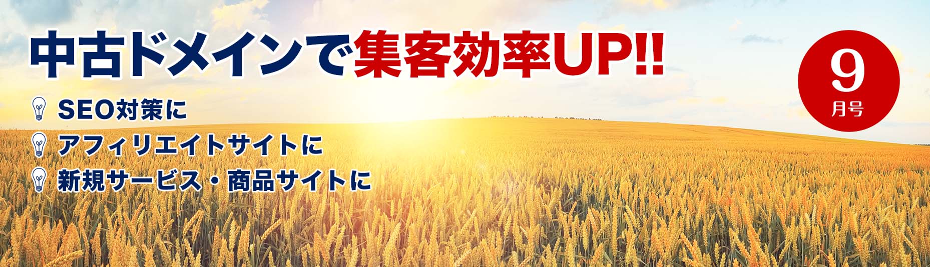 中古ドメインで集客効率アップ！/SEO対策に/アフィリエイトサイトに/新規サービス・商品サイトに