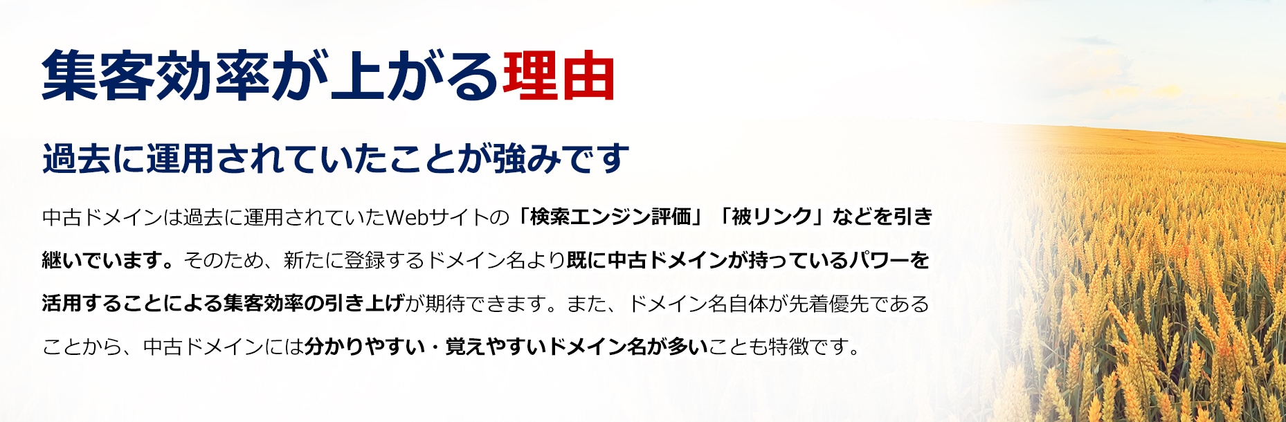 中古ドメインで集客効率アップ！/SEO対策に/アフィリエイトサイトに/新規サービス・商品サイトに