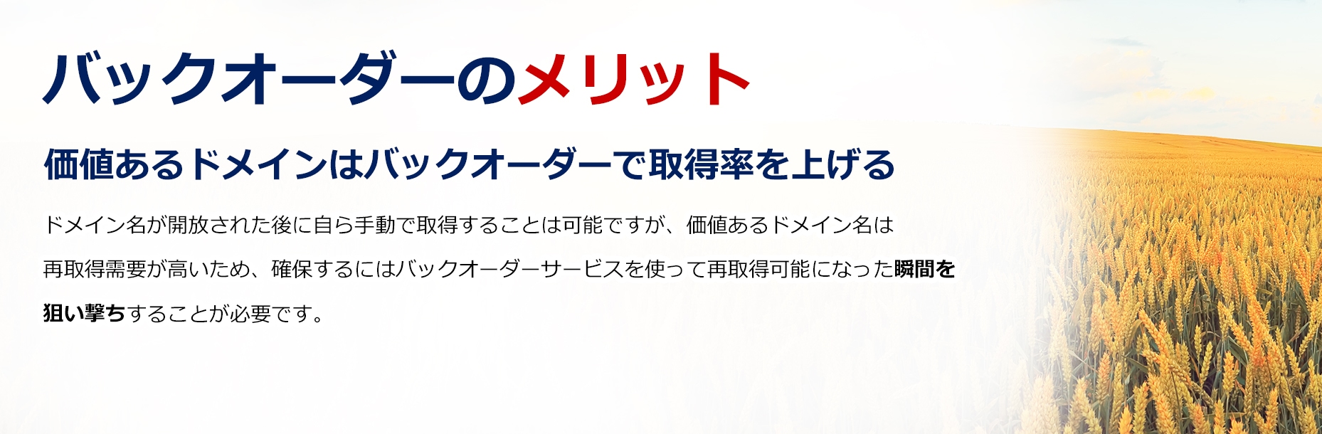 中古ドメインで集客効率アップ！/SEO対策に/アフィリエイトサイトに/新規サービス・商品サイトに