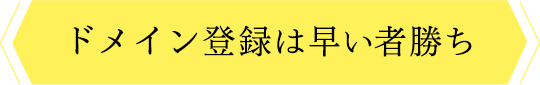 ドメイン登録は早い者勝ち