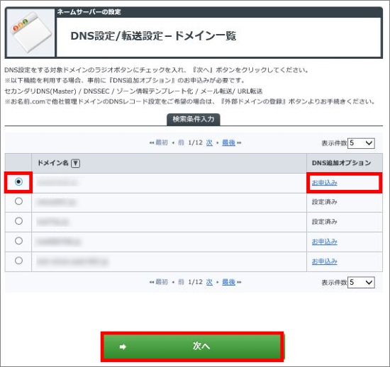 DNS追加オプション