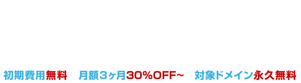 Webサイト・ブログ・アフィリエイトなどに最適 お名前.comレンタルサーバー ドメイン×サーバー同時登録でさらにお得〜 初期費用、月額費用最大2ヶ月、独自ドメイン永久無料